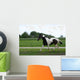 Trotting Horse Wall Mural