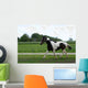 Trotting Horse Wall Mural
