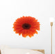 Flower Orange Gerbera White Wall Decal