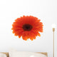 Flower Orange Gerbera White Wall Decal