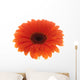Flower Orange Gerbera White Wall Decal
