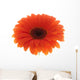 Flower Orange Gerbera White Wall Decal