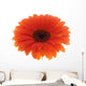 Flower Orange Gerbera White Wall Decal