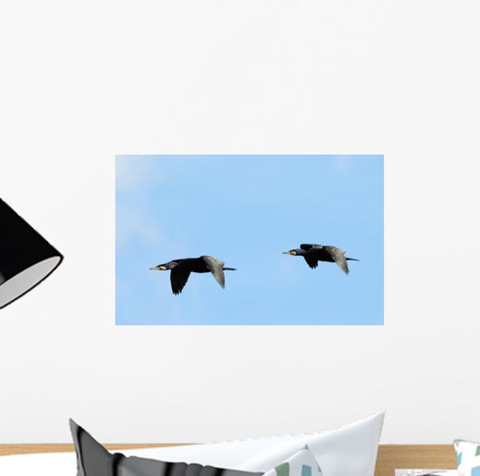 Cormorants Flight Wall Decal