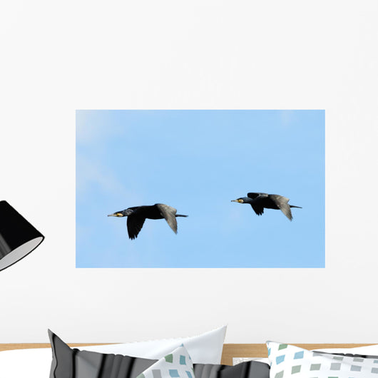 Cormorants Flight Wall Decal