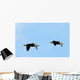 Cormorants Flight Wall Decal