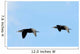 Cormorants Flight Wall Decal