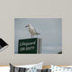 Careful Seagull Wall Decal