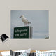 Careful Seagull Wall Decal