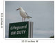 Careful Seagull Wall Decal