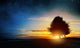 Natural Landscape Wall Decal