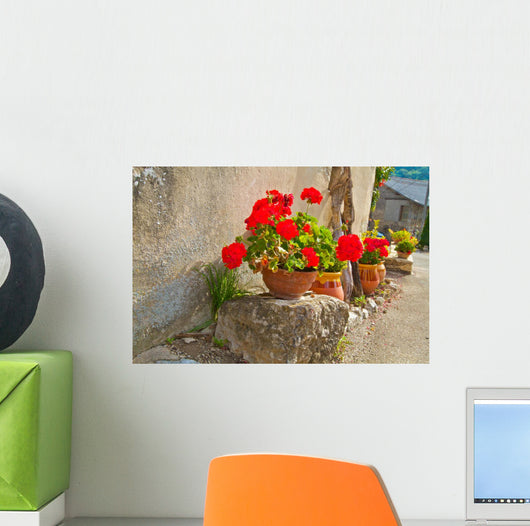 Geraniums Pots Wall Decal
