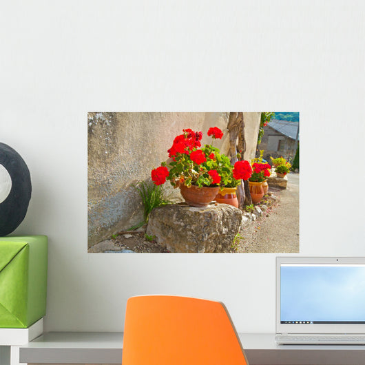 Geraniums Pots Wall Decal