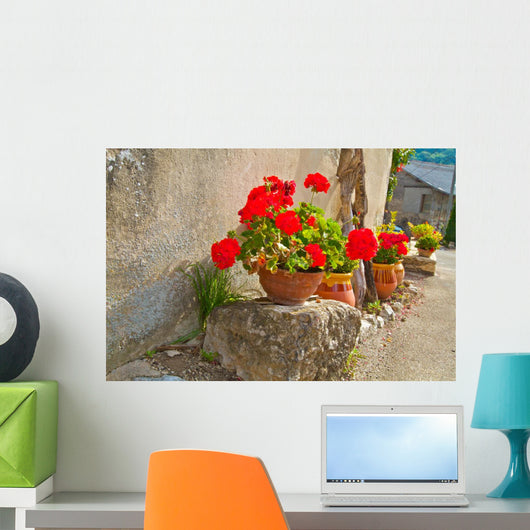 Geraniums Pots Wall Decal