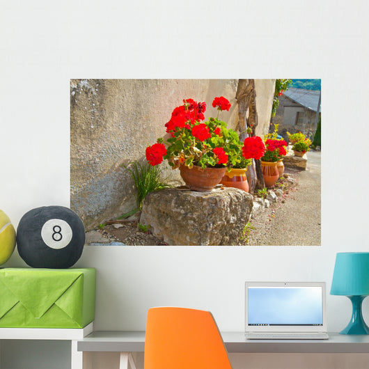 Geraniums Pots Wall Decal