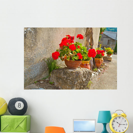 Geraniums Pots Wall Decal