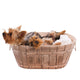 Two Yorkshire Terrier Basket Wall Decal