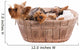 Two Yorkshire Terrier Basket Wall Decal