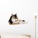 Tricolor Cat Wall Decal