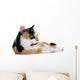 Tricolor Cat Wall Decal