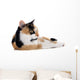 Tricolor Cat Wall Decal