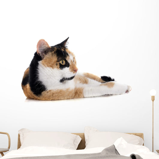 Tricolor Cat Wall Decal