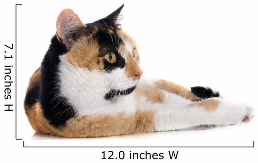 Tricolor Cat Wall Decal