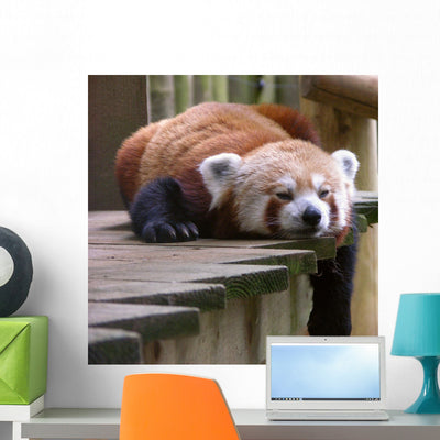 Red Panda Wall Decal shown on a wall