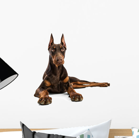 Doberman Wall Decal