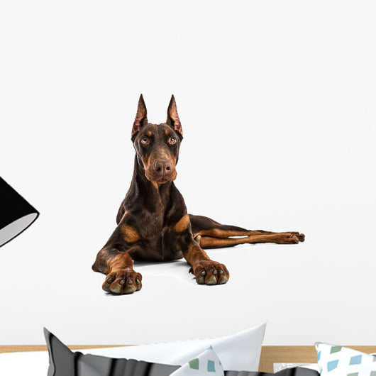 Doberman Wall Decal