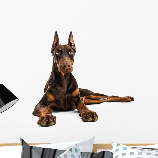 Doberman Wall Decal