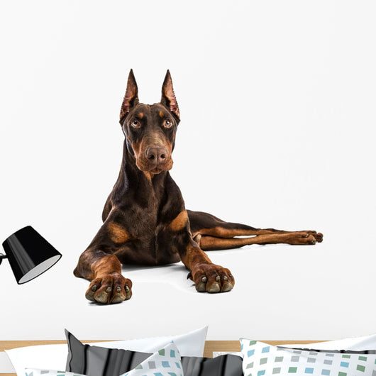 Doberman Wall Decal