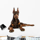 Doberman Wall Decal