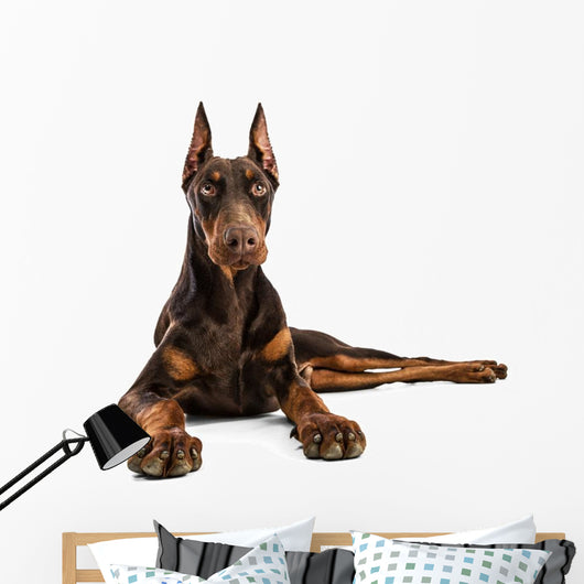 Doberman Wall Decal
