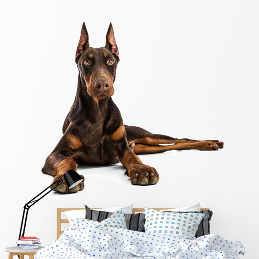 Doberman Wall Decal