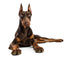 Doberman Wall Decal
