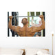 Back of Bodybuilder Raising Barbell in Gym Hall before Mirror Wall Mural