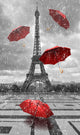 Eiffel Tower with Flying Wall Decal