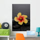 Still Life with Lily Wall Decal