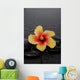 Still Life with Lily Wall Decal