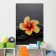 Still Life with Lily Wall Decal