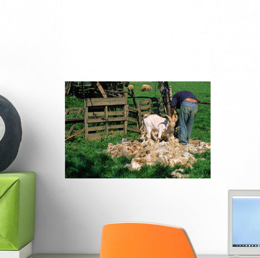 TONTE DUNE CHEVRE ANGORA Wall Mural