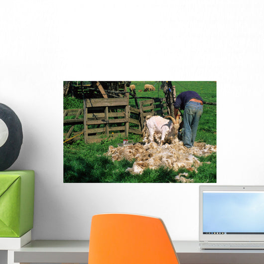 TONTE DUNE CHEVRE ANGORA Wall Mural