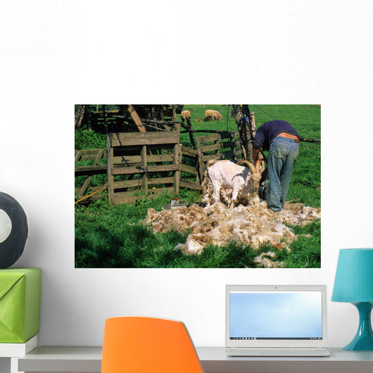 TONTE DUNE CHEVRE ANGORA Wall Mural