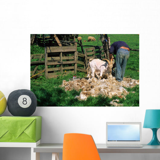 TONTE DUNE CHEVRE ANGORA Wall Mural