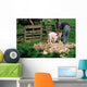TONTE DUNE CHEVRE ANGORA Wall Mural