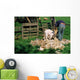 TONTE DUNE CHEVRE ANGORA Wall Mural