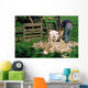 TONTE DUNE CHEVRE ANGORA Wall Mural
