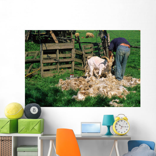TONTE DUNE CHEVRE ANGORA Wall Mural