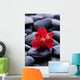 Macro Beautiful Red Orchid Wall Decal